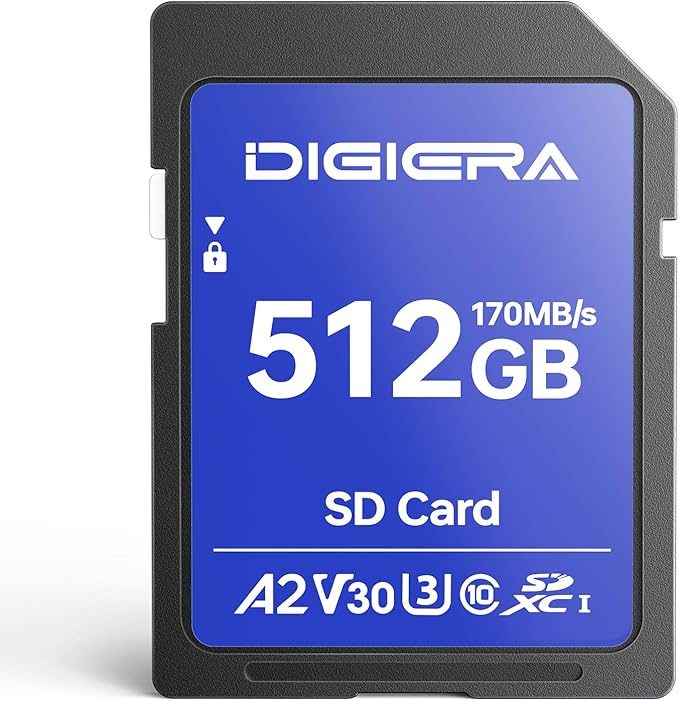 512GB LS100 SDXC UHS-I Memory Card by DIGIERA