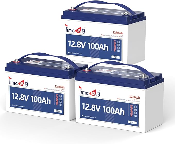 12V 100Ah Pro LiFePO4 Battery, Grade A Battery Cells, 3 Pack Group 31 Deep by Timeusb