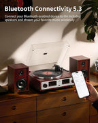 ANGELS HORN Bluetooth Turntable - Image 2