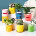 UNOKA Ptouch Label Maker Refills, Replace - Image 4