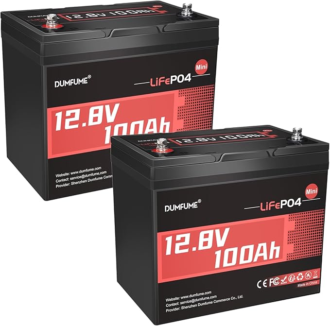2 Pack 12V 100Ah Mini LiFePO4 Battery, Built-in 100A BMS, 1280Wh Deep Cycle by Dumfume