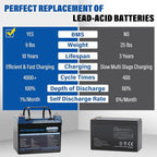 12V 36Ah LiFePO4 Battery, Built in BMS Rechargeable Lithium Battery - Image 4