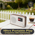 Lemega IR1S Internet Radio - Image 5