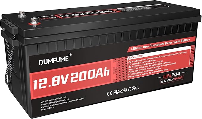 12V 200Ah LiFePO4 Lithium Battery, 2560Wh Capacity, Built-in 200A BMS, 15000+ by Dumfume