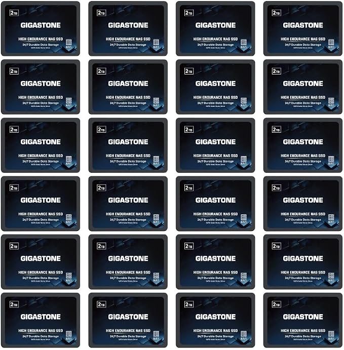 Gigastone 2TB NAS SSD Drive 24/7 Durable TLC High Endurance RAID Data Storage by Gigastone