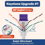 Everest 45° Angled RJ45 Cat6 Keystone Jacks 20-Pack in Purple - Image 3