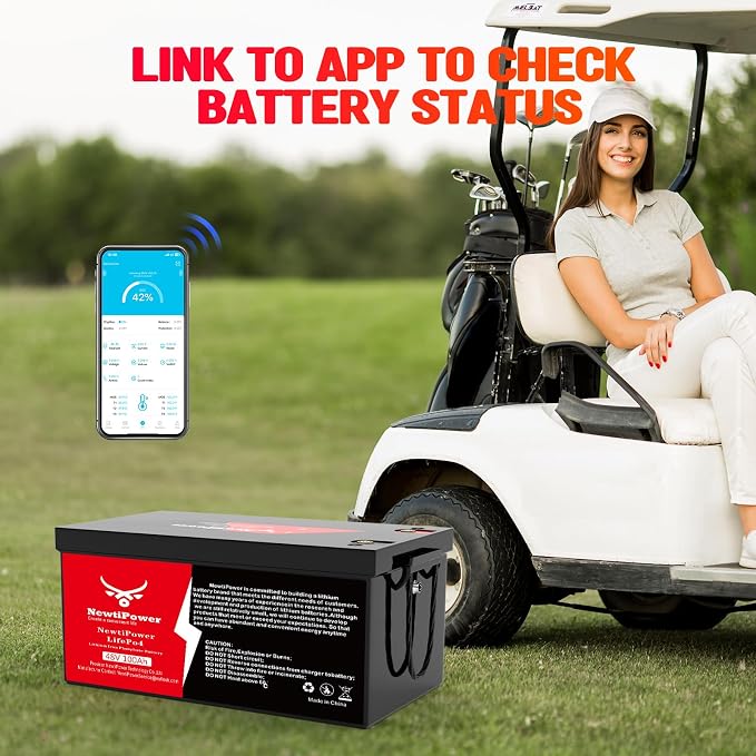 48V 100Ah Golf Cart Lithium LiFePO4 Battery - Image 5