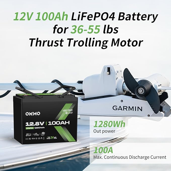 12V 100Ah LiFePO4 Battery, BCI Group 24, Built-in 100A BMS, 1280Wh Rechargeable - Image 6