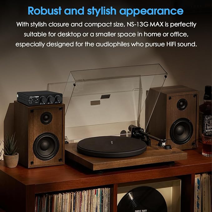 Douk Audio NS-13G MAX 300Wx2 Stereo Amplifier - Image 5