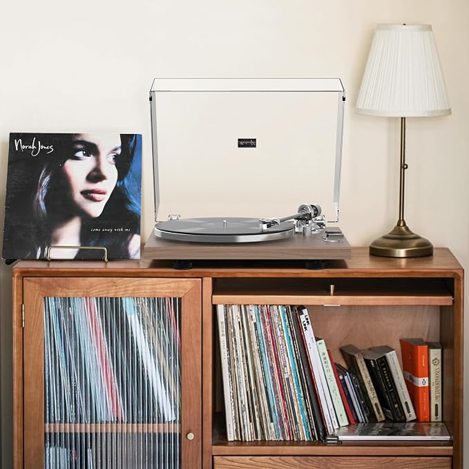 Turntables Record Player with Wireless Output Connectivity Vinyl Player - Image 6
