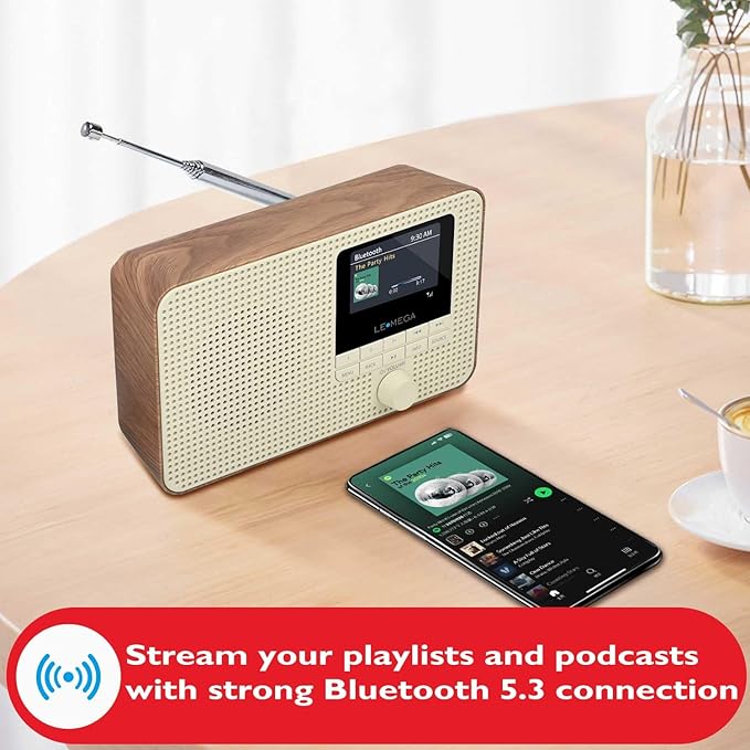 LEMEGA IR1 Portable WiFi Internet Radio, FM Digital Radio, Dual Alarms Clock - Image 2