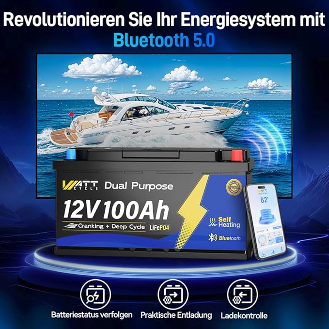 12V 100Ah Dual Purpose Marine Cranking LiFePO4 Lithium Battery Bluetooth - Image 4