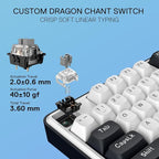 Redragon K689 Wired Gasket RGB Gaming Keyboard, 108 Keys Mechanical Keyboard - Image 5