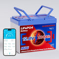 12V 100Ah Lifepo4 Battery, Bci Group 24, Built-In 100A Smart BMS, 4500 To 15000 by MarsenergyUS