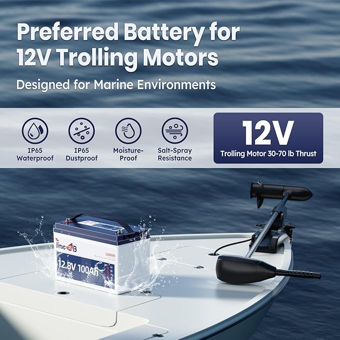 12V 100Ah LiFePO4 Battery with Low Temperature Cut off Protection Group31 - Image 4