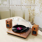 Record Player for Vinyl with 30W Speakers Upgraded，3-Speed can Play - Image 6