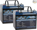 WEIZE 12V 36Ah LiFePO4 Lithium Battery, Grade A Cells Built in BMS Low by WEIZE