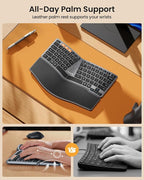 ProtoArc Bluetooth Ergonomic Keyboard, EK04 Mini Compact Wireless Ergo Split - Image 4