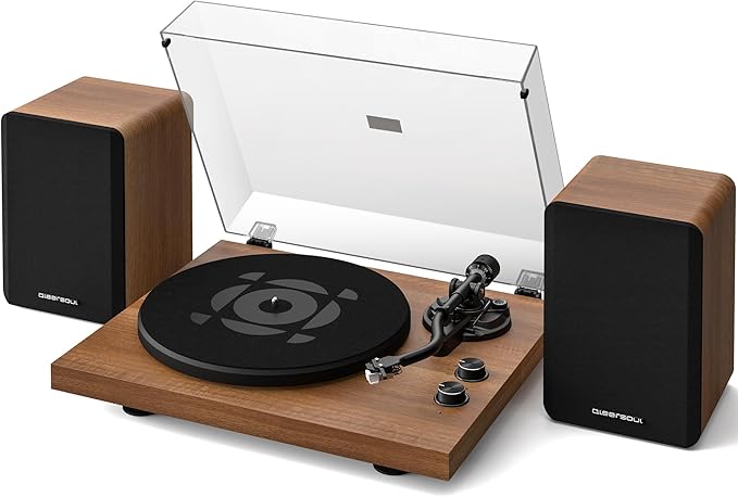 SoulBox S1 Vinyl Record Player by QLEARSOUL