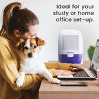 Pro Breeze Electric Mini Dehumidifier, 2200 Cubic Feet, Compact and Portable - Image 8