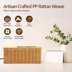Delamu Handmade Rattan Cable Management Box, Cord Organizer - Image 6