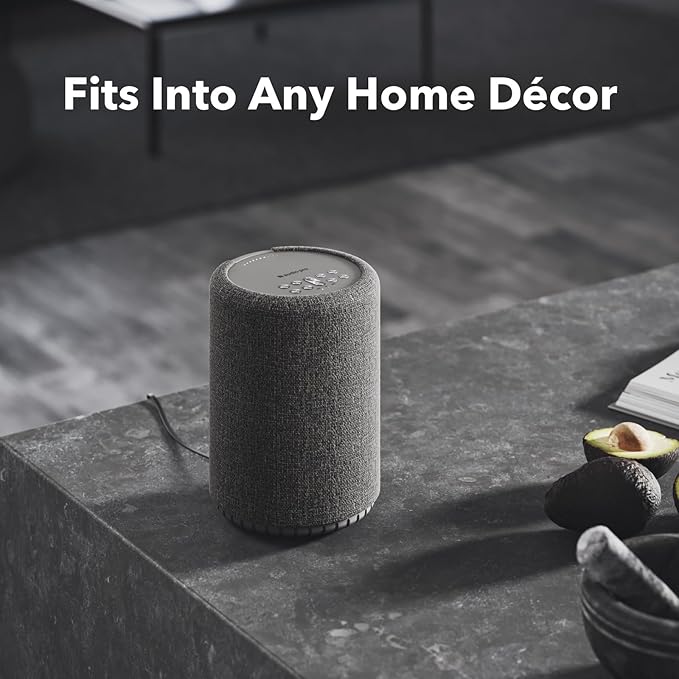 Audio Pro A10 MKII Wireless Multiroom Speaker, WiiM Edition | High Fidelity - Image 3