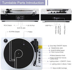 LP&No.1 Record Player with Built-in Stereo Speakers, LED Control, 3-Speed - Image 6