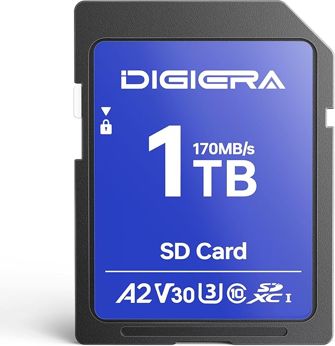 1T LS100 SDXC UHS-I Memory Card by DIGIERA