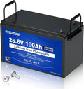 DC HOUSE 24V 100Ah LiFePO4 Lithium Battey, Low Temp Cut-Off BMS, Home Energy by DCHOUSE