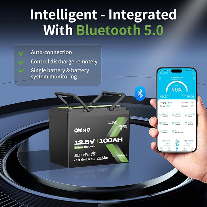 12V 100Ah LiFePO4 Battery with Bluetooth, BCI Group 24, Built-in 100A BMS - Image 2