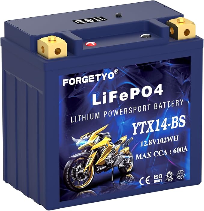 YTX14-BS Lithium Motorcycle Battery, ATV Battery 12V 8AH 600CCA Compatible by Forgetyo