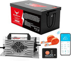 48V 100Ah Golf Cart Lithium LiFePO4 Battery by NewtiPower