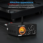 Douk Audio 2 Channel TPA3255 Bluetooth Amplifier 300W x2, Turntable Phono Amp - Image 6