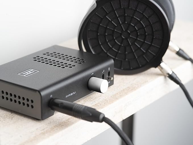 Schiit Magni Unity Fully Discrete Headphone Amp and Preamp - Image 3