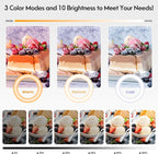 Overhead Camera Mount with Ring Light Phone Holder, Phone Tripod with Light - Image 4