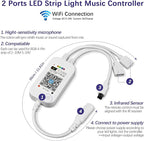 RGBZONE 2.4GHz WiFi LED Controller, IR Wireless Remote Control, 2-Ports Smart - Image 2