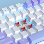 MageGee 75% Mechanical Gaming Keyboard, LED Blue Backlit, 87 Keys Compact TKL - Image 3