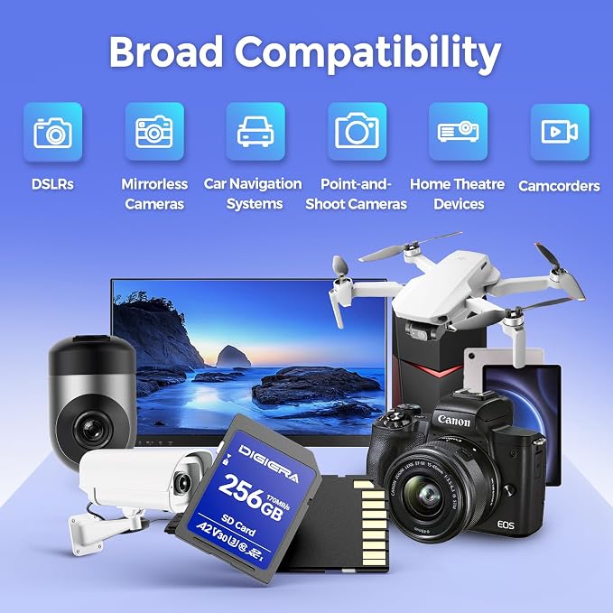 256GB LS100 SDXC UHS-I Memory Card - Image 4
