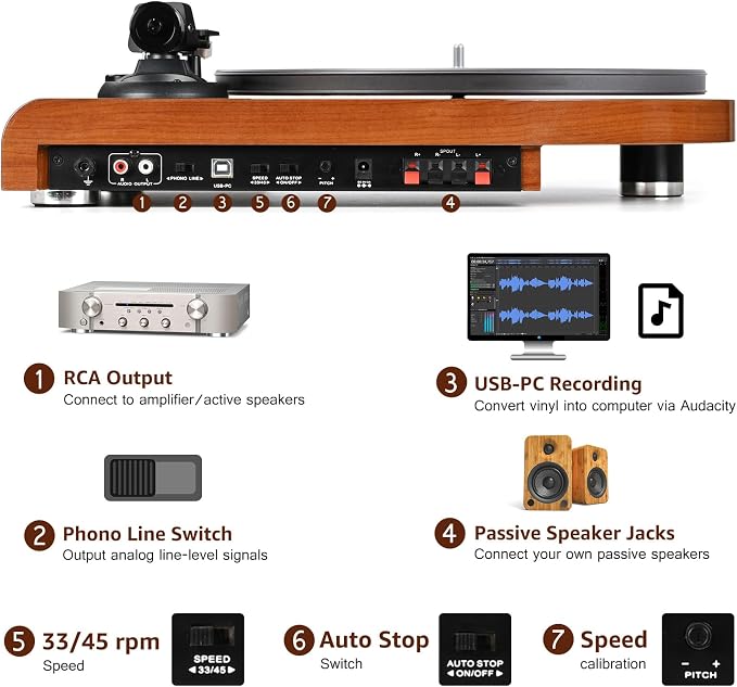 Vinyl Record Player with Bluetooth Input Output, Turntable with Built-in Preamp - Image 4