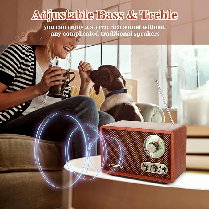 LoopTone USB SD Multifunction AM FM Vintage Radio - Image 5