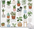 Mouse Pad, Cute House Plants Mouse Pads, Square Washable Cloth Personalized by Armanza