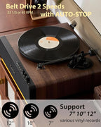 Vinyl Record Player, High Fidelity Belt Drive Turntable - Image 2