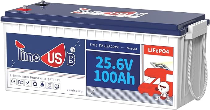24V 100Ah LiFePO4 Battery, 2.56kWh Lithium Battery, Built-in 100A BMS, 10-Year by Timeusb