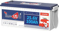 24V 100Ah LiFePO4 Battery, 2.56kWh Lithium Battery, Built-in 100A BMS, 10-Year by Timeusb