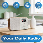 SR-L WiFi Internet Radio, Podcast Player, 150 Presets, Portable FM Radio - Image 2