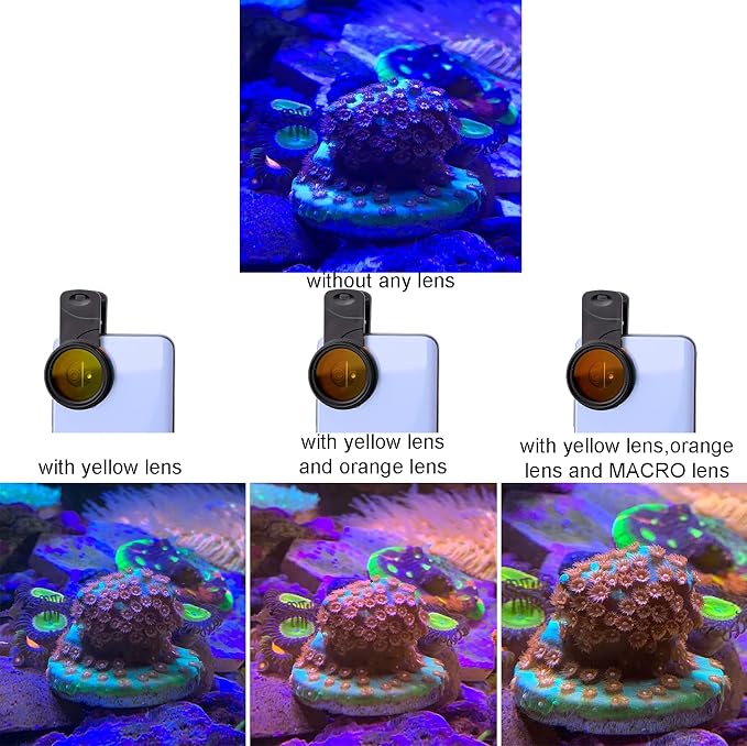Reef Coral Lens for Phone, Smartphone Camera Reef Lens, 11 Kits in a Whole - Image 4