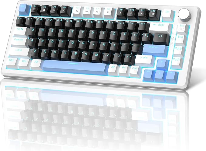 MageGee 75% Mechanical Gaming Keyboard, Compact Blue Backlit Wired Gaming by MageGee