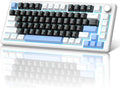 MageGee 75% Mechanical Gaming Keyboard, Compact Blue Backlit Wired Gaming by MageGee
