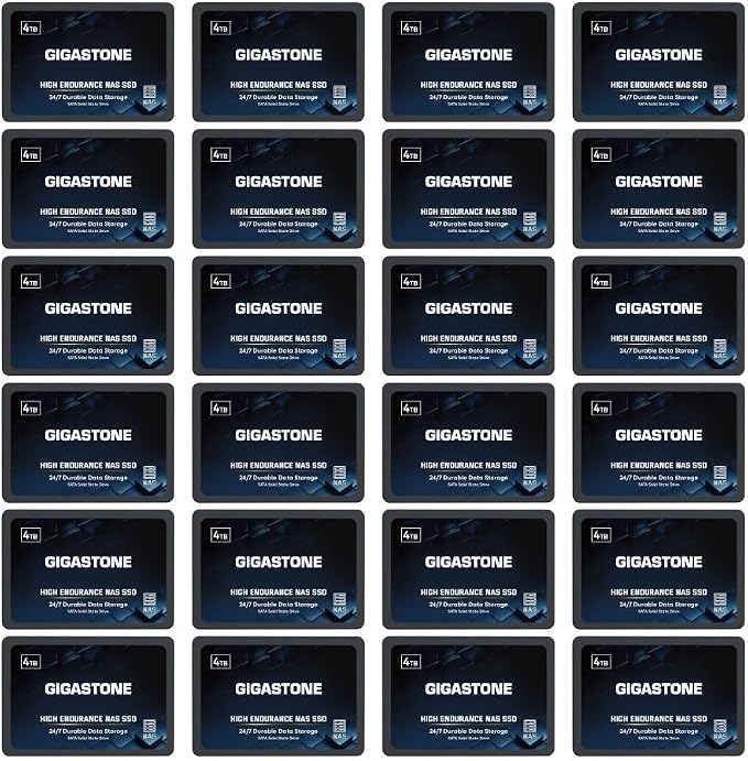 Gigastone 4TB NAS SSD Drive 24/7 Durable High Endurance RAID Data Storage by Gigastone