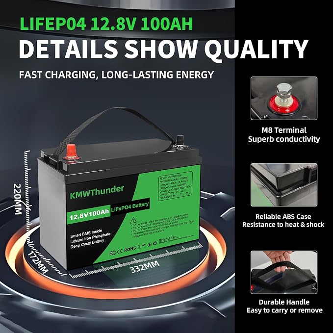 12V 100Ah LiFePO4 Lithium Battery, Built-in Smart BMS, Low Temperature - Image 5